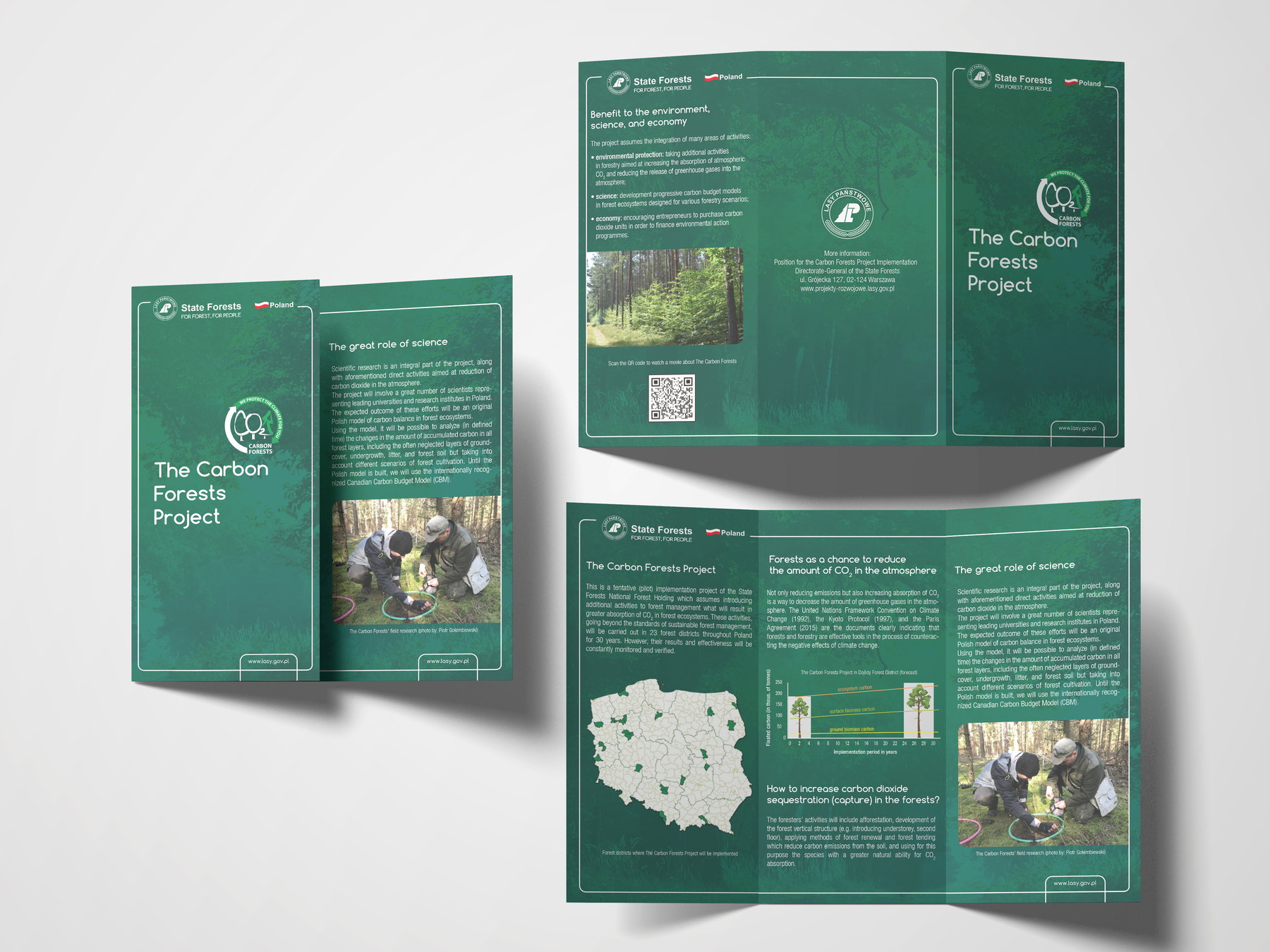 Anglojęzyczna ulotka Lasów Państwowych